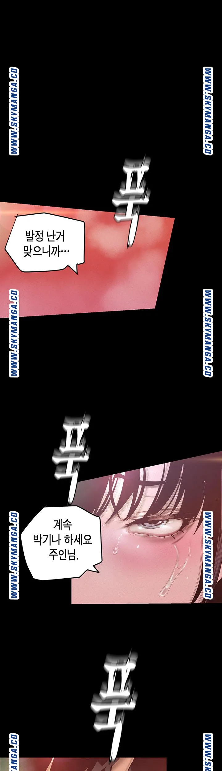 Chapter 116, page 50